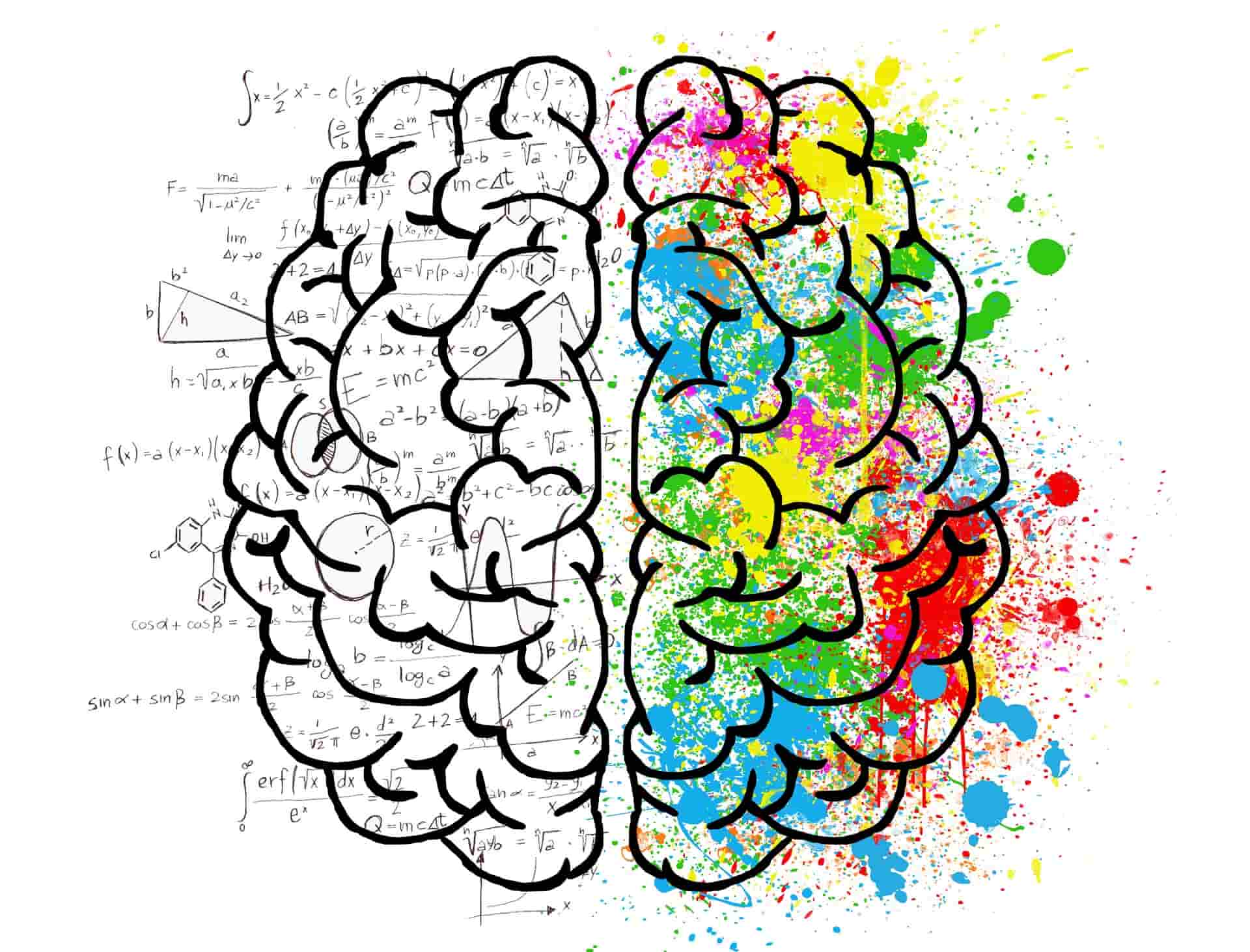 brain 2062057 1920 min Baixo desempenho escolar, como combater as notas vermelhas?