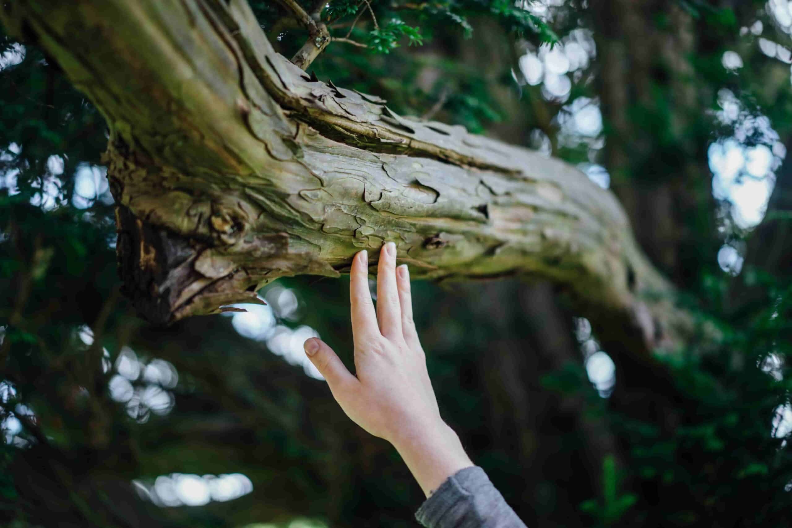 paul rysz 224232 unsplash min 1 erro grave que cometi quando estava na escola e como resolvi